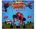 Spiderman theme Birthday Decorations