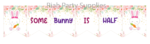 RPS-Bunny-Half-Birthday-Decoration-01